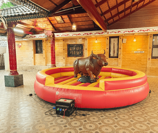 Bull ride